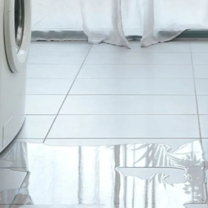 Appliance Leak Cleanup in Duvall, WA