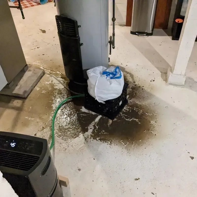 Sewage Backup Cleanup Service in Duvall, WA